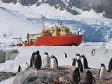 Gentoo penguins watch ARSV LAURENCE M. GOULD near Petermann Island. 