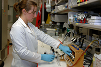 A researcher processes samples in the Palmer Station laboratory. Photo by Peter Rejcek, courtesy of the USAP Photo Library
