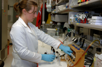 A researcher processes samples in the Palmer Station laboratory. Photo by Peter Rejcek, courtesy of the USAP Photo Library.
