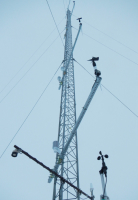 Ross Ice Shelf Tall Tower automatic weather station. Photo by John Cassano, University of Colorado.
